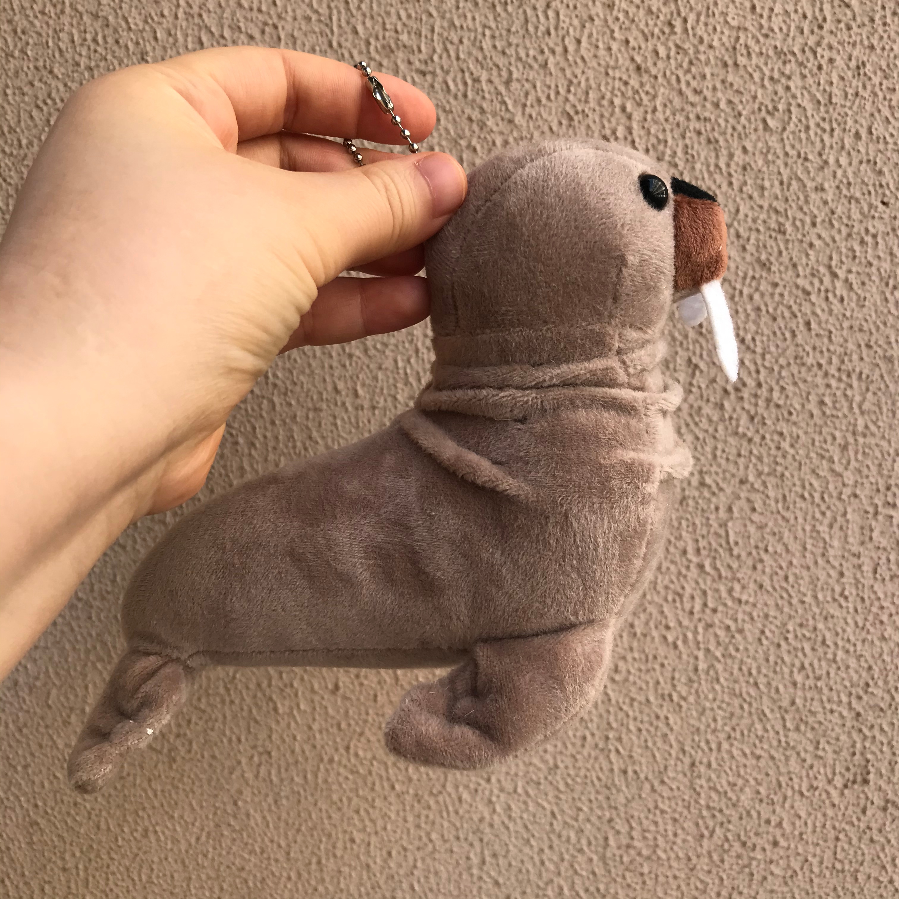 Cartoon sea lion plush toys, Marine animal figurines, children's dolls, wedding scattering, birthday gifts, plush pendants, best-selling sea lion custom export plush toy pendants, bag pendants Specification image