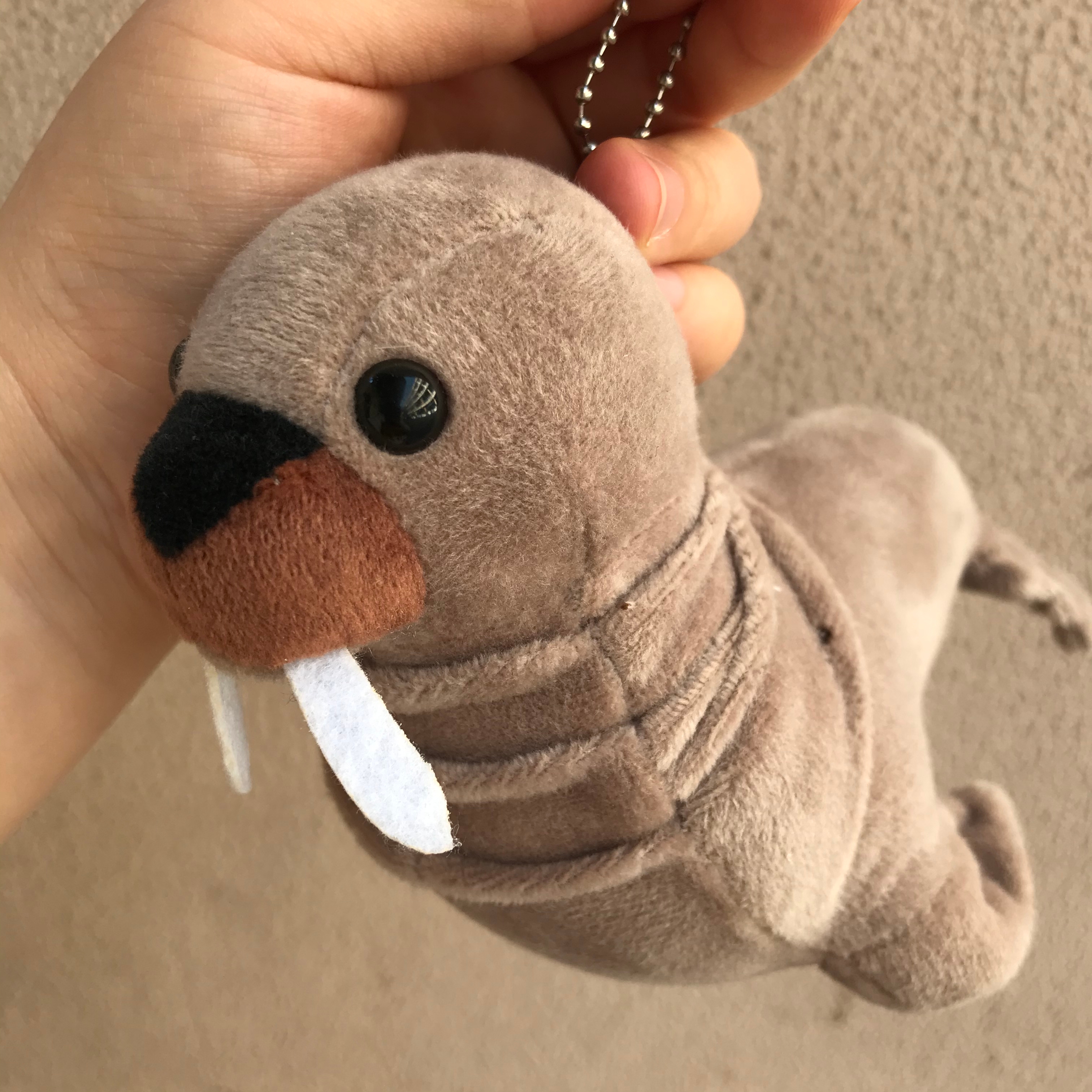 Cartoon sea lion plush toys, Marine animal figurines, children's dolls, wedding scattering, birthday gifts, plush pendants, best-selling sea lion custom export plush toy pendants, bag pendants