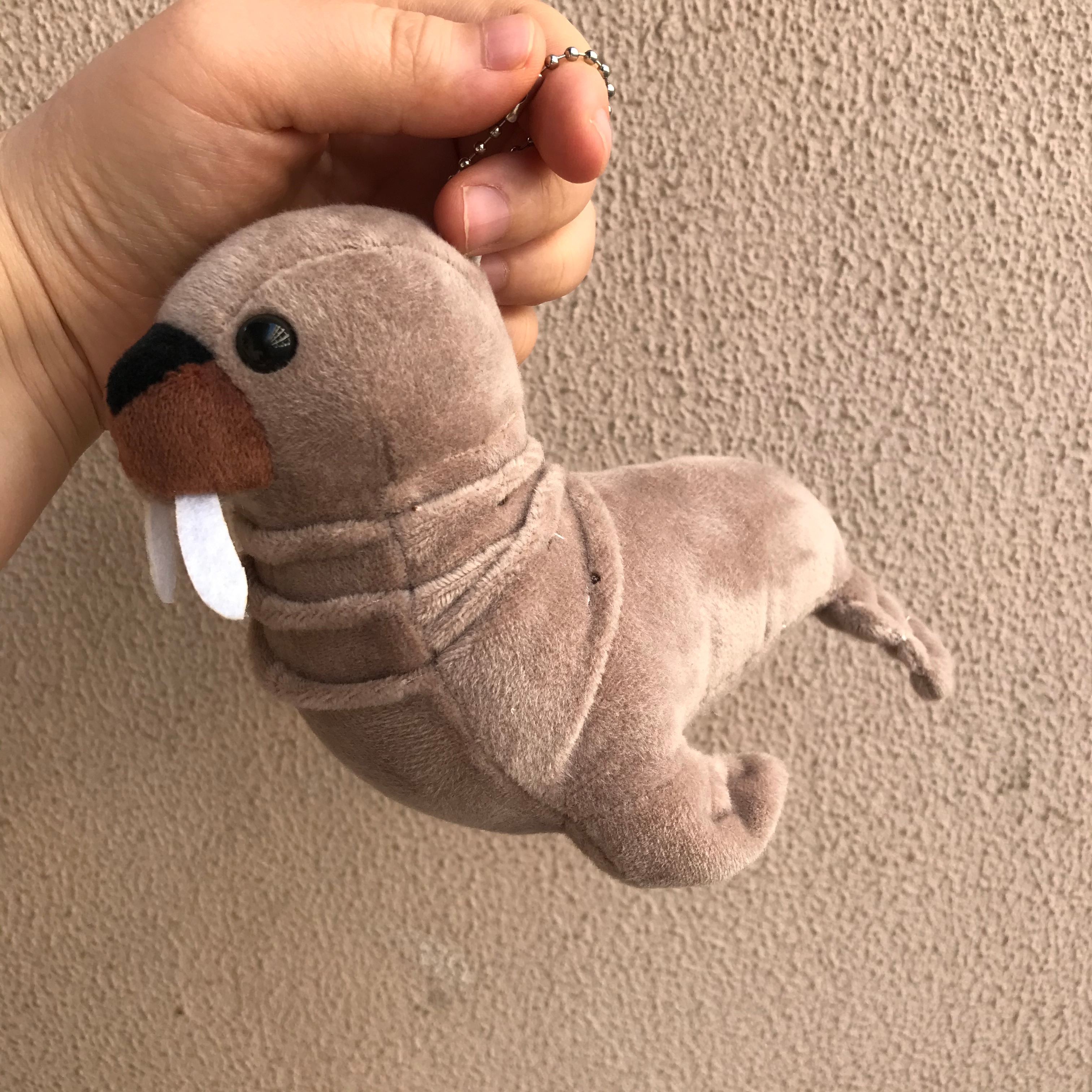 Cartoon sea lion plush toys, Marine animal figurines, children's dolls, wedding scattering, birthday gifts, plush pendants, best-selling sea lion custom export plush toy pendants, bag pendants Application Scenario