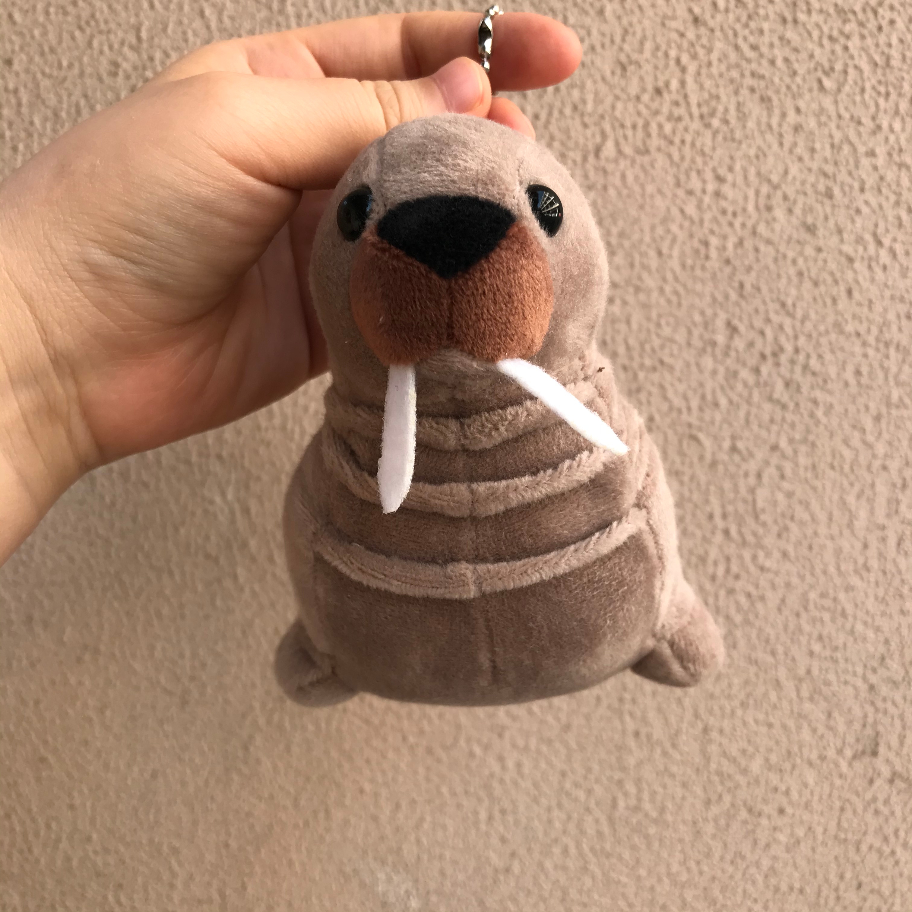 Cartoon sea lion plush toys, Marine animal figurines, children's dolls, wedding scattering, birthday gifts, plush pendants, best-selling sea lion custom export plush toy pendants, bag pendants details Picture