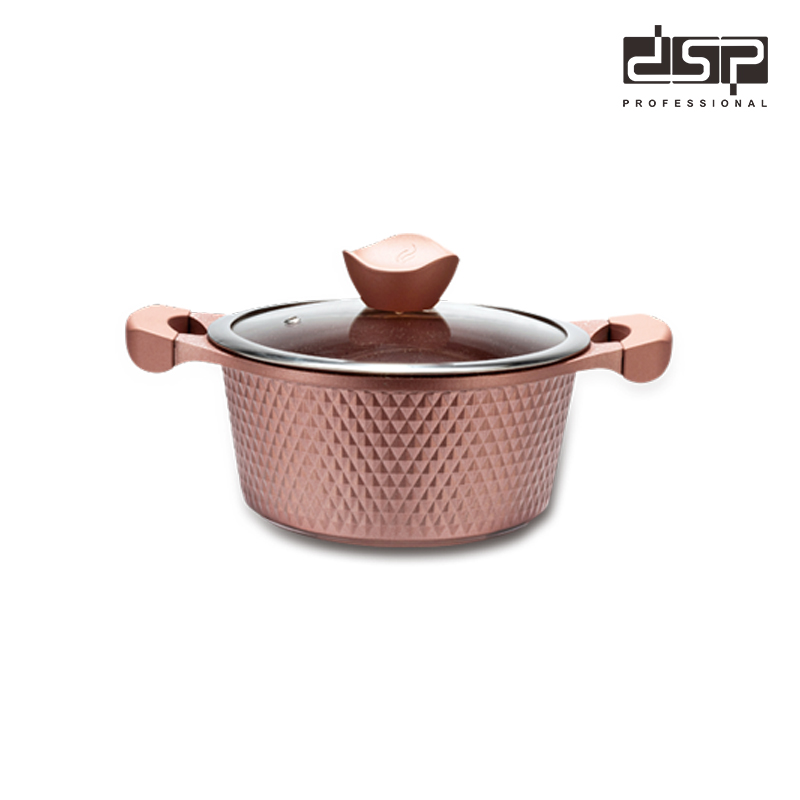 DSP丹松 双耳小汤锅不粘锅电磁炉通用煮锅煲汤蒸锅炖锅家用燃气CA003-B20/B24/B28/B32