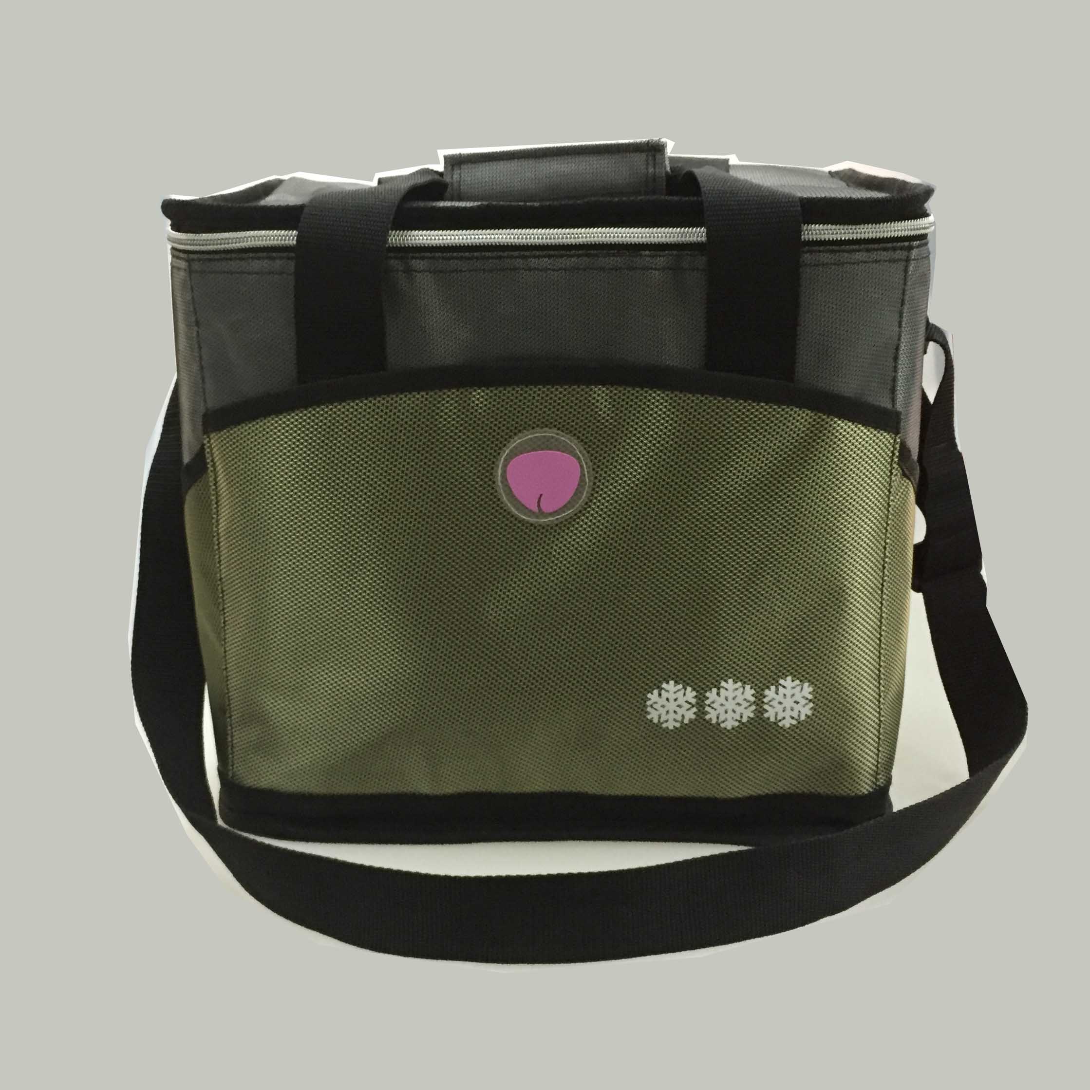 保温包，冰包，野餐包白底实物图