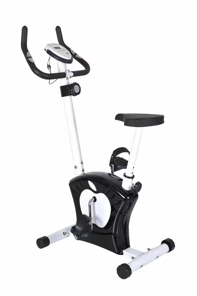 Spinning bike magnetic control model