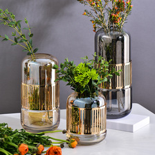 现代北欧玻璃花瓶轻奢风格金色铁艺客厅餐桌玄关电视柜后插花工艺摆件