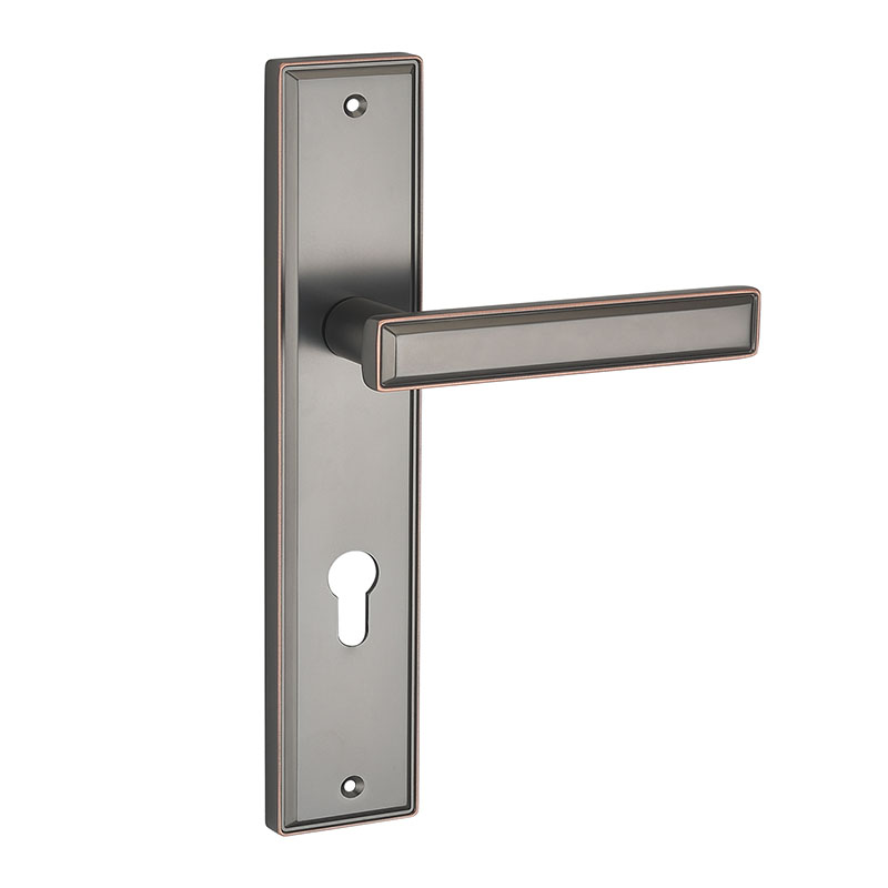 Enter Door With Pull Aluminium handle cylinder mortice Lock详情图1