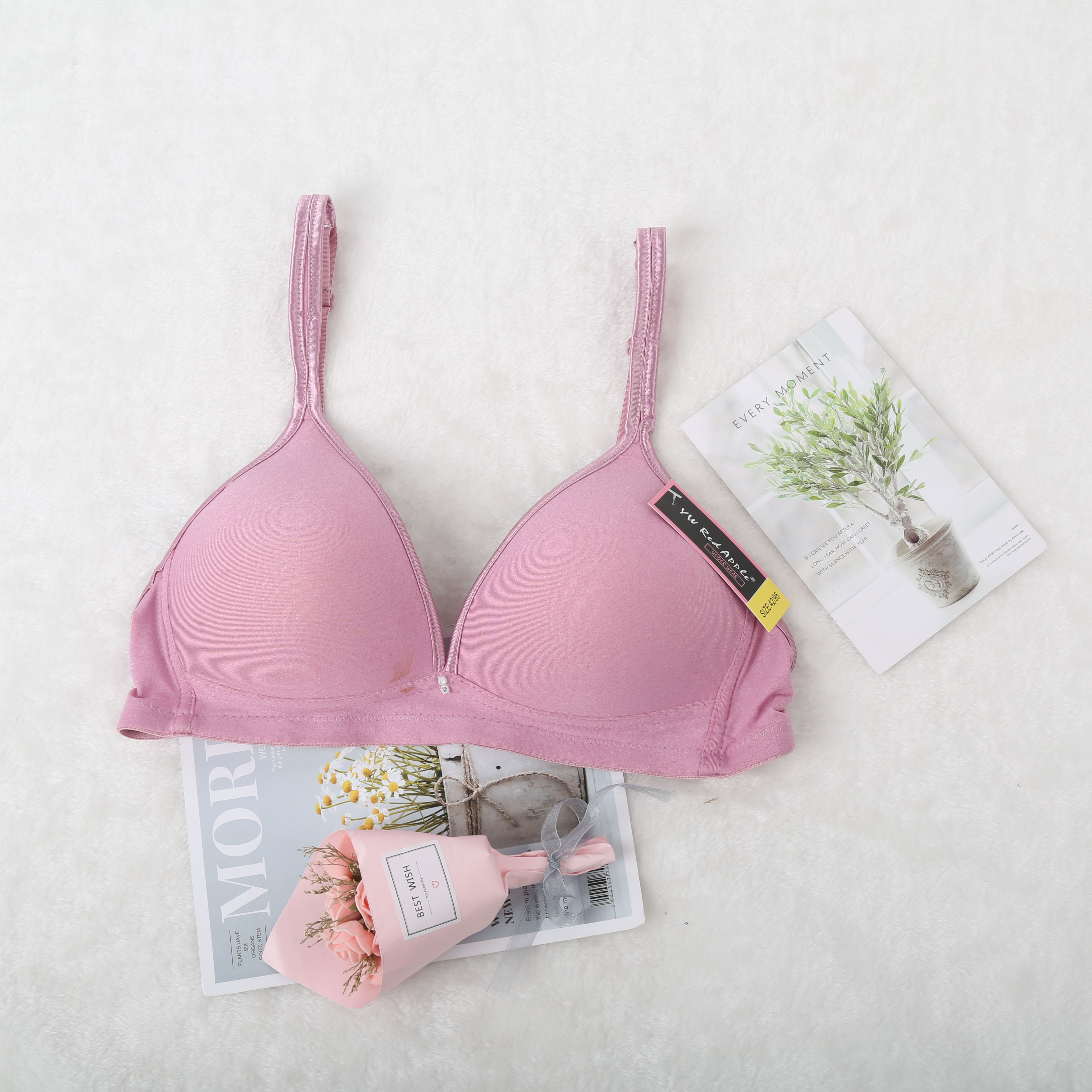 外贸文胸/文胸套装白底实物图