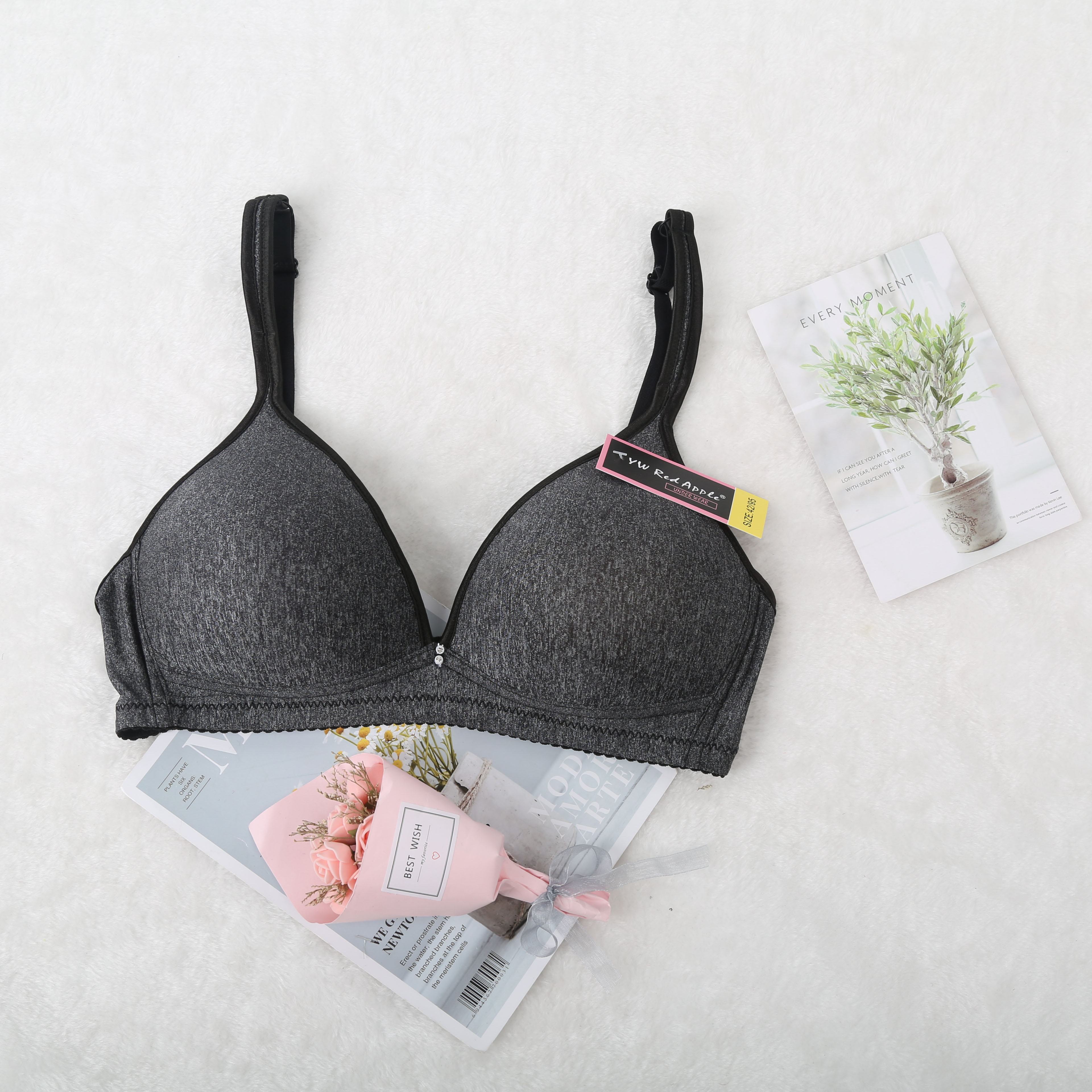 外贸文胸/文胸套装产品图