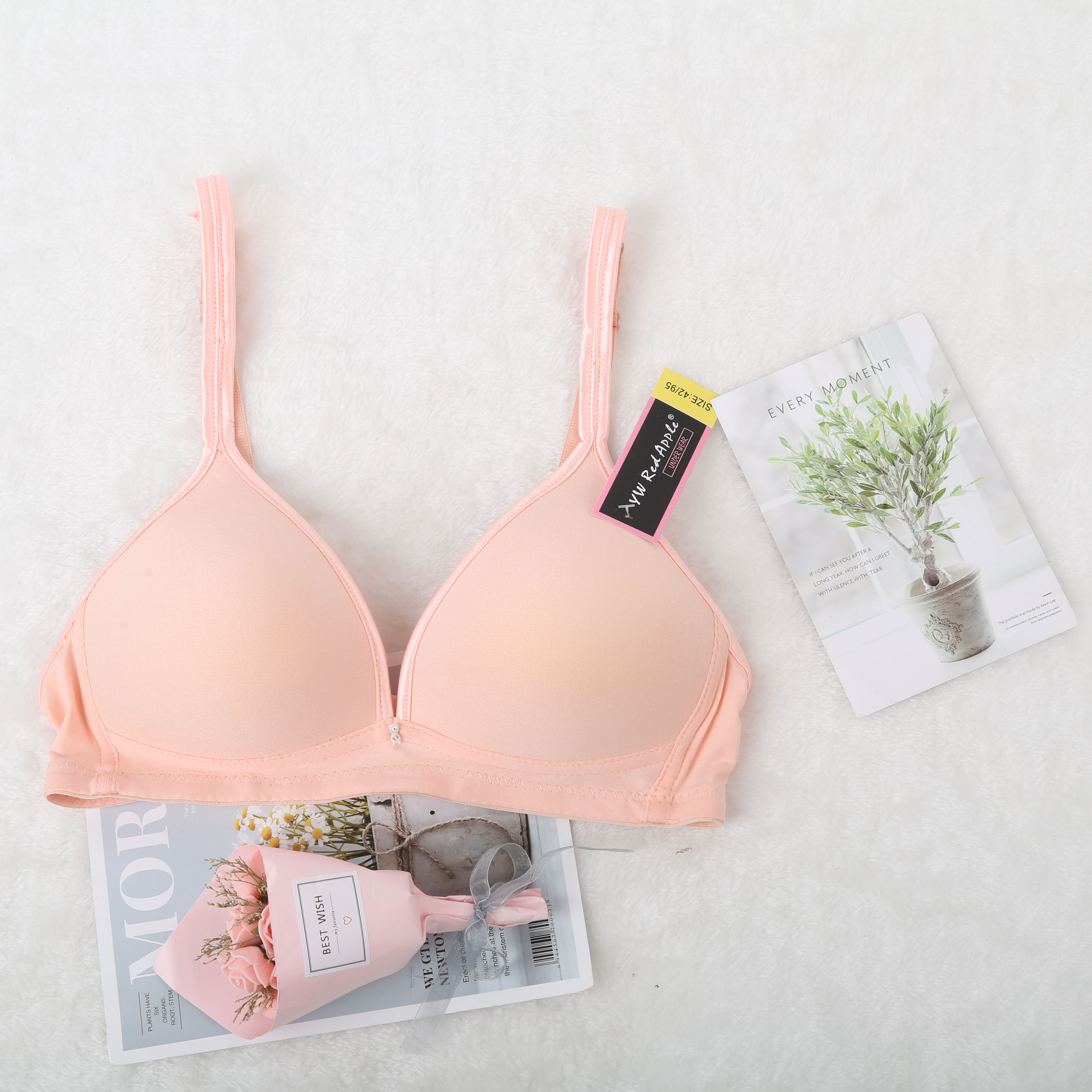 外贸文胸/文胸套装细节图