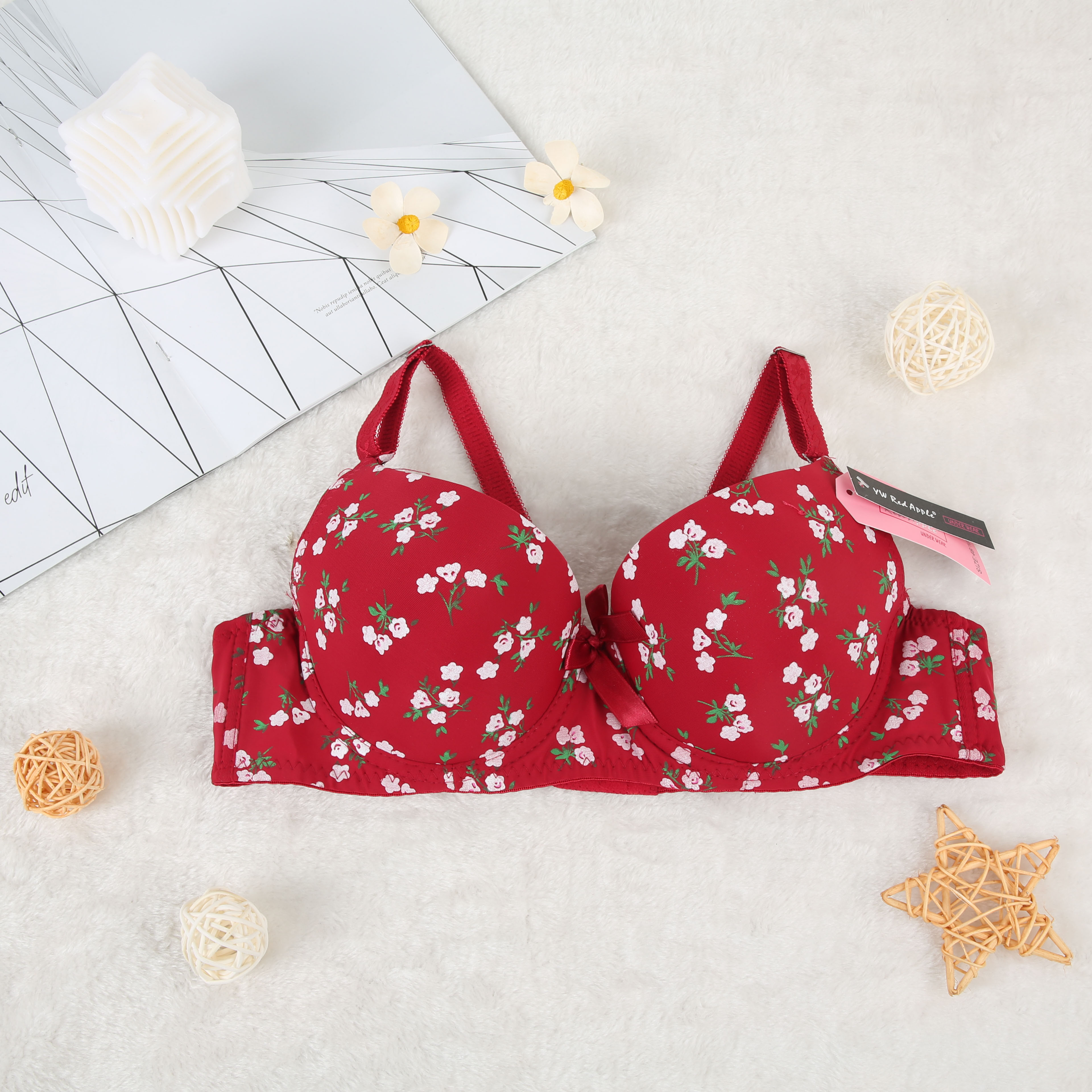 跨境欧美/文胸/南美欧美产品图