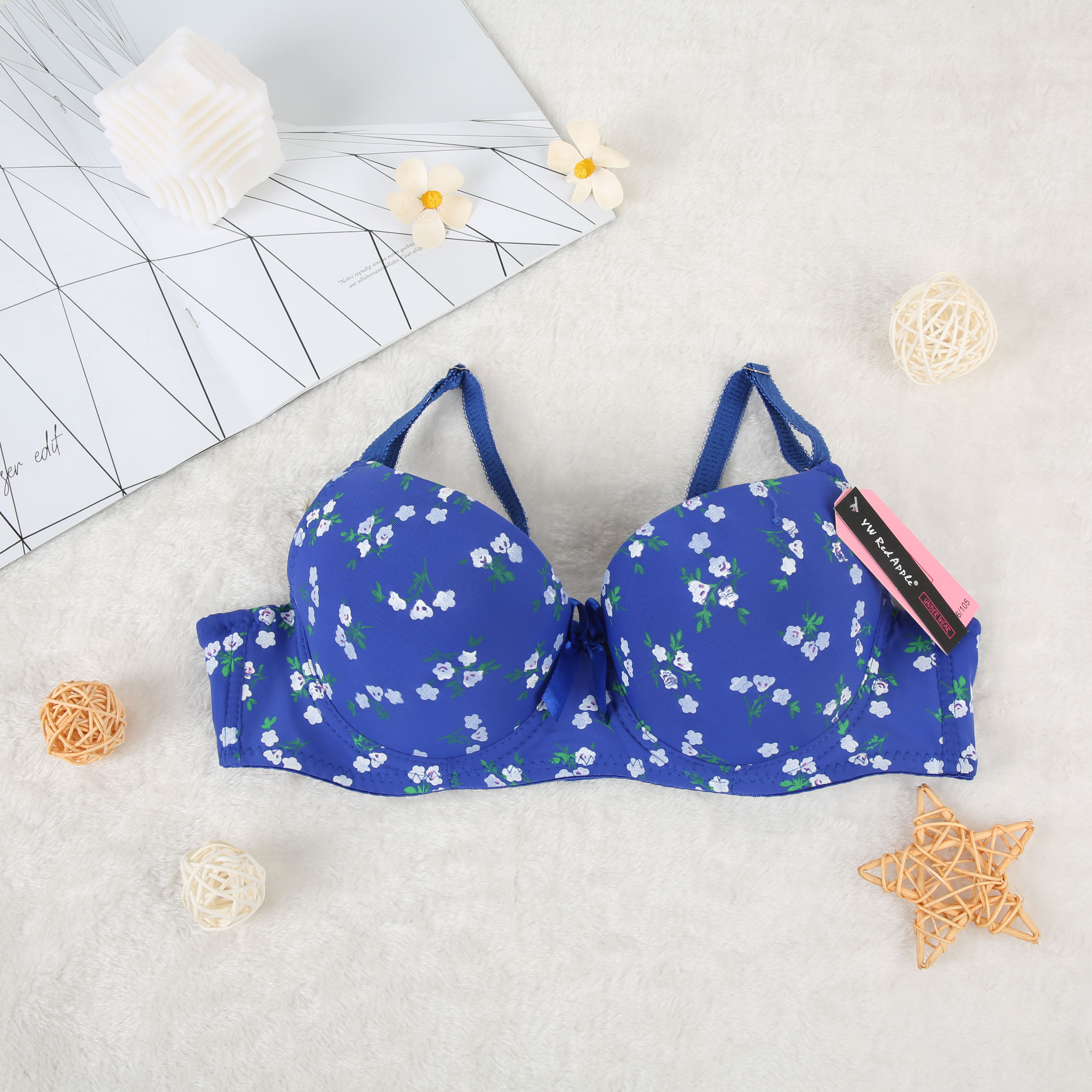 跨境欧美/文胸/南美欧美白底实物图