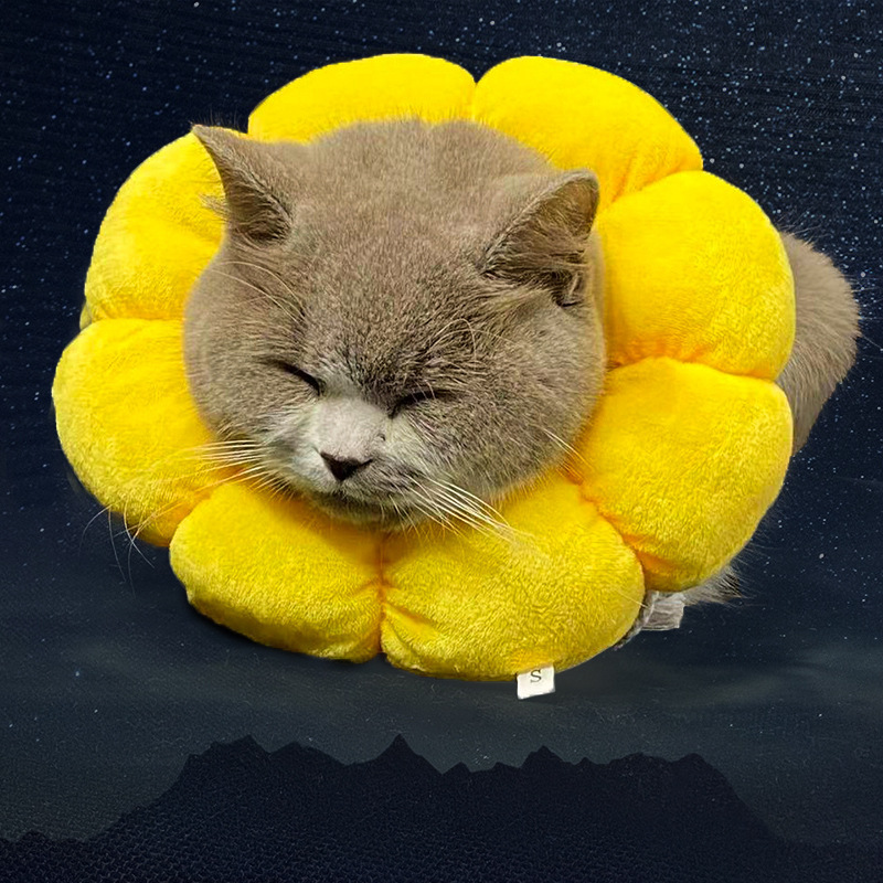 Pet head cover cat collar