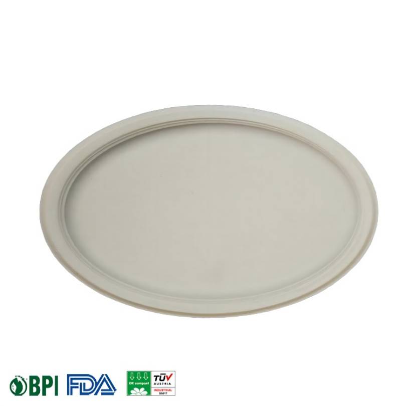 甘蔗渣餐盘白底实物图