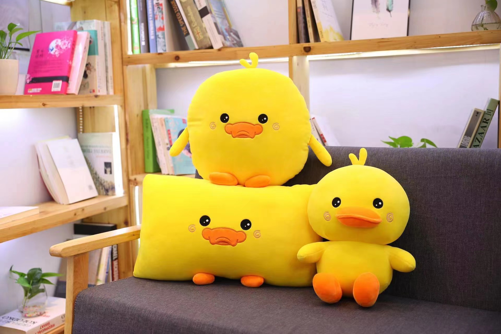 鸭肉零食实物图