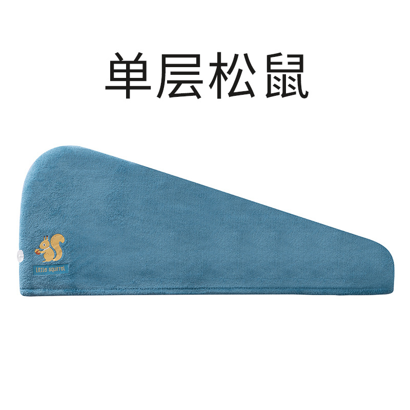 Dry hair cap