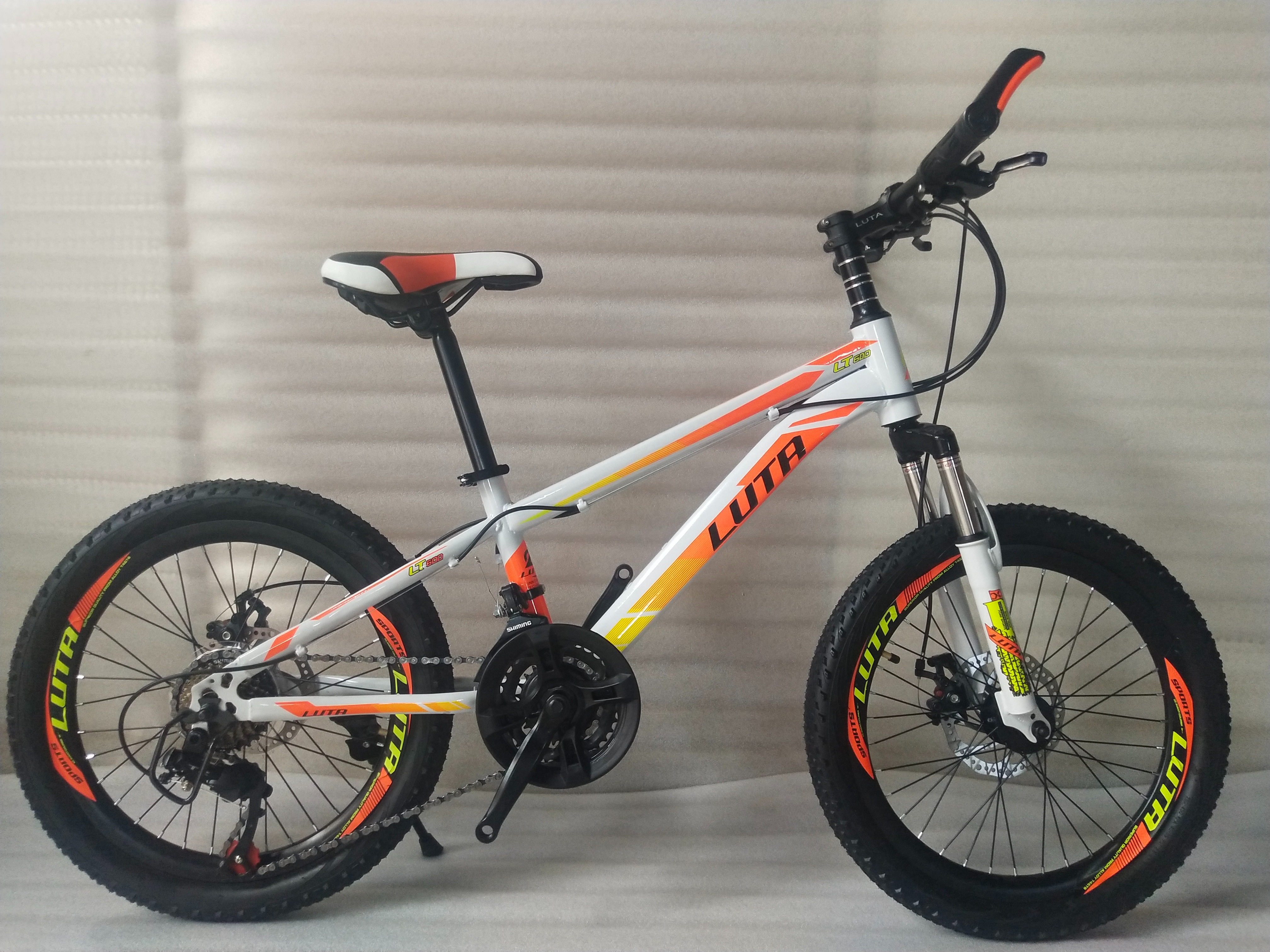 山地车/BIKE/21-753产品图