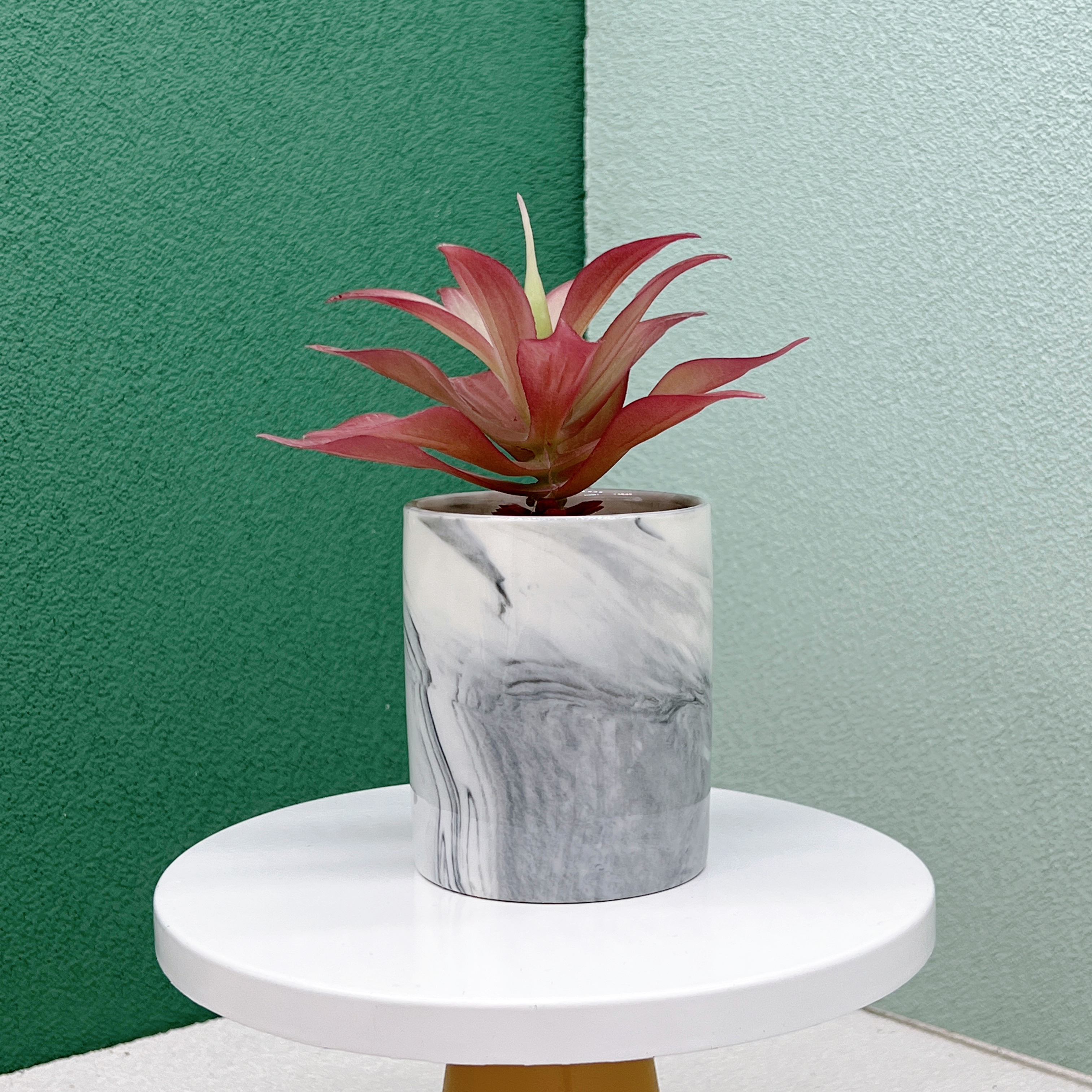 仿真多肉植株/北欧简约风/大理石纹产品图