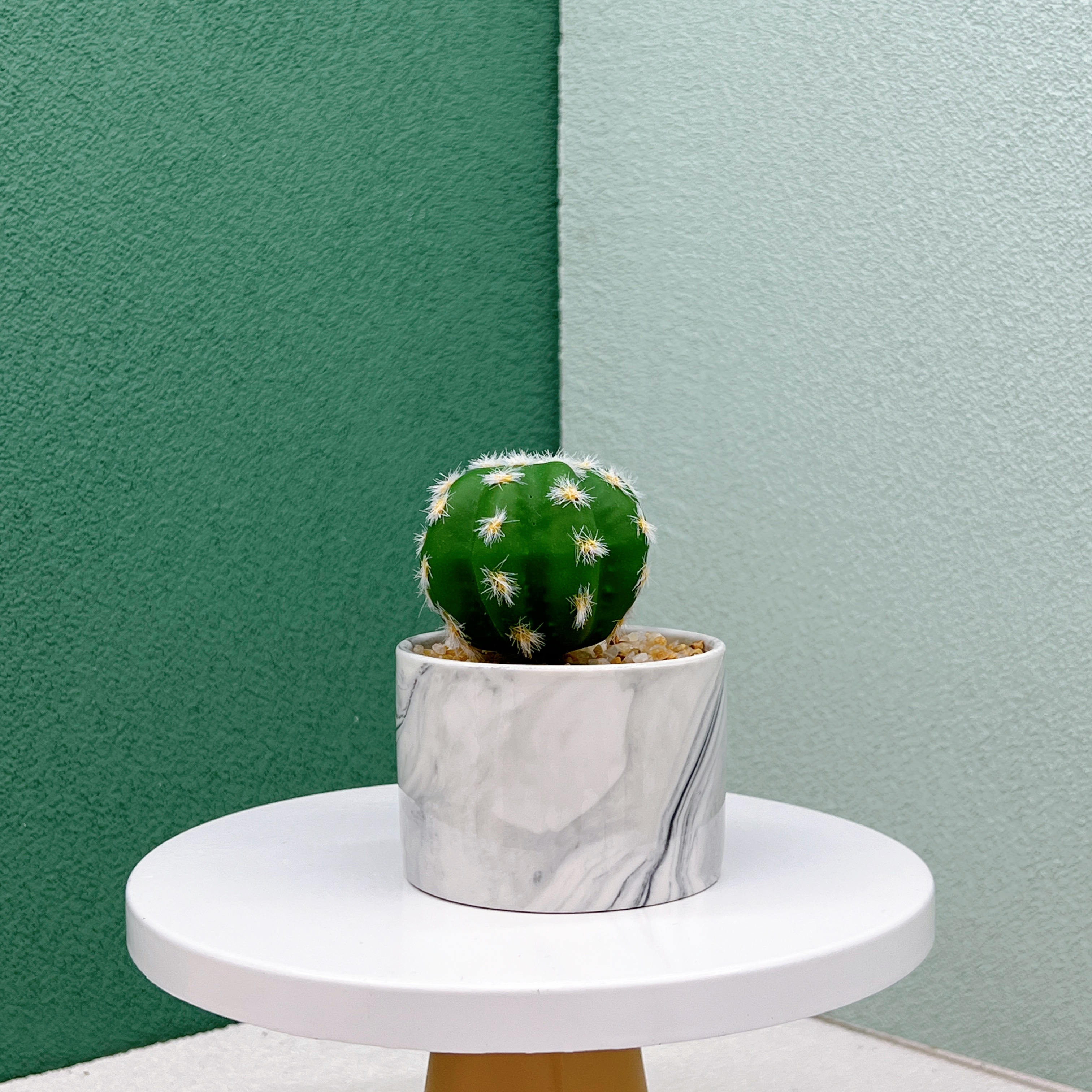 仿真多肉植株/北欧简约风/大理石纹产品图