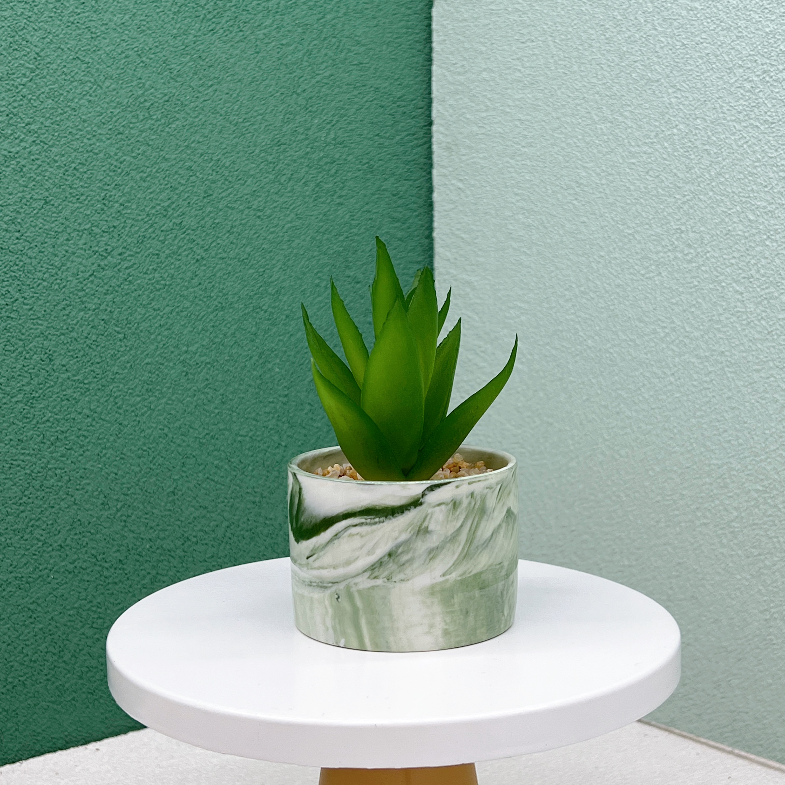 仿真多肉植株/北欧简约风/大理石纹细节图