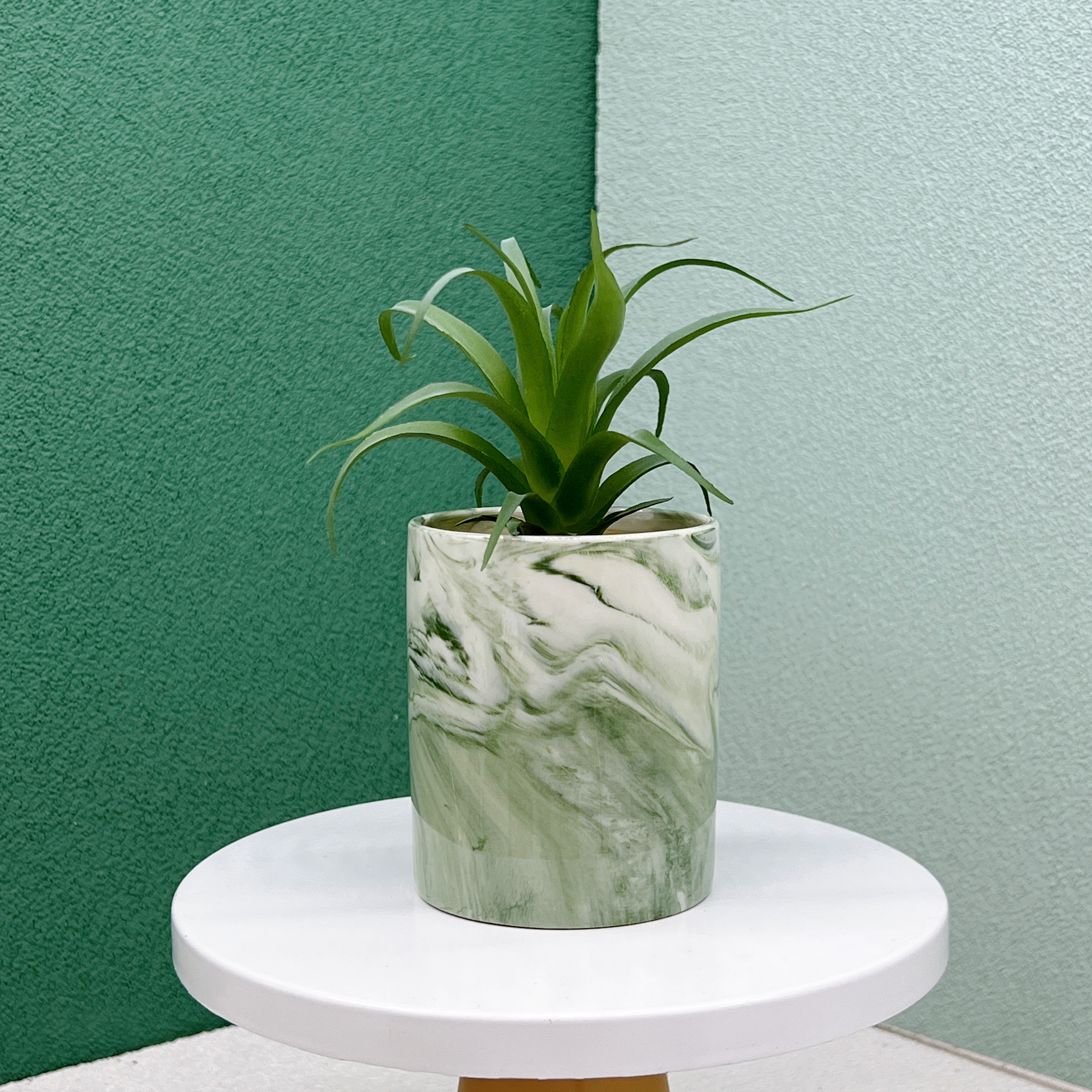 仿真多肉植株/北欧简约风/大理石纹细节图