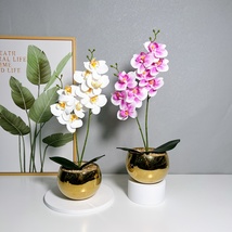 北欧轻奢电镀金色陶瓷花盆花瓶摆件简约创意个性简约盆栽蝴蝶兰