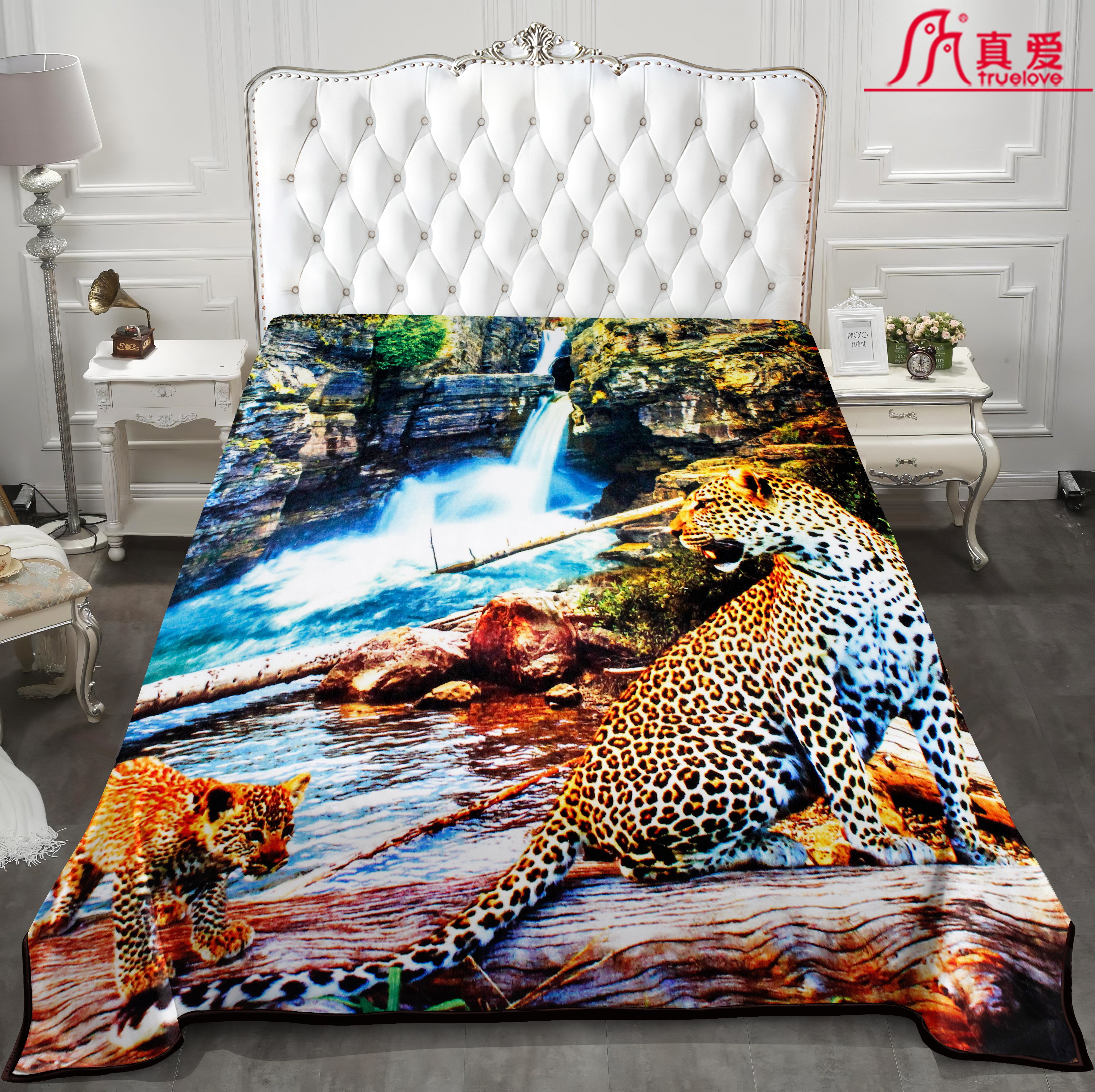 毛毯/印花毛毯/法兰绒毛毯产品图