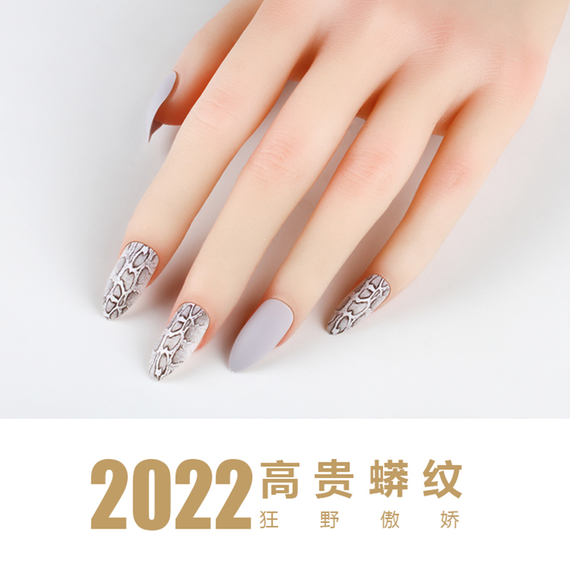 New matte matte, cold python pattern, personalized European and American wearable nail art patches, ribbon matte nail art patches details Picture
