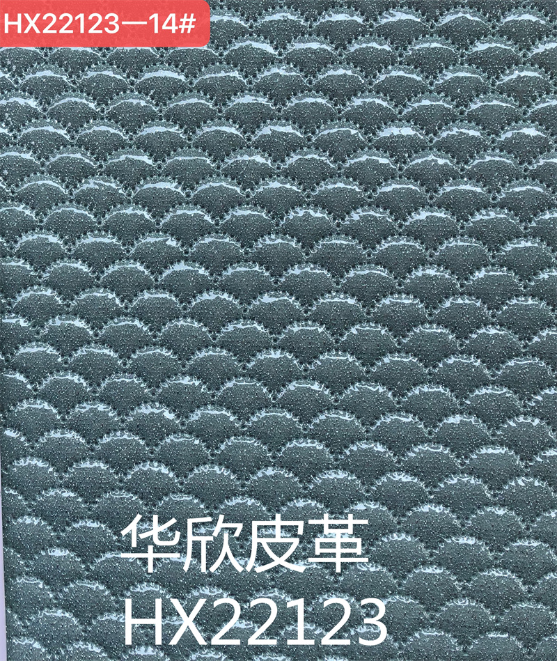 HX22123 details Picture