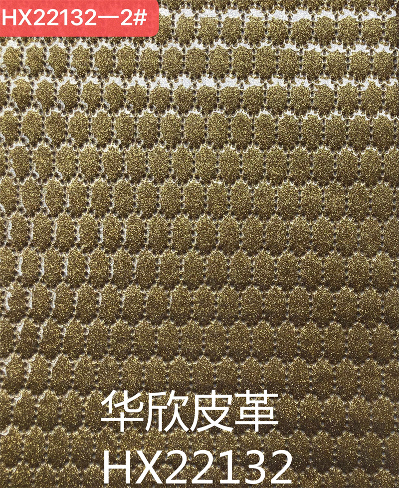 HX22132 Application Scenario