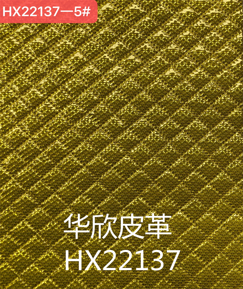 HX22137 Specification image