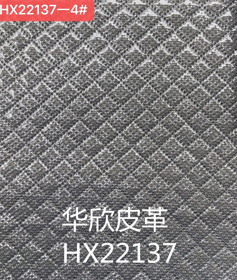 HX22137 details Picture
