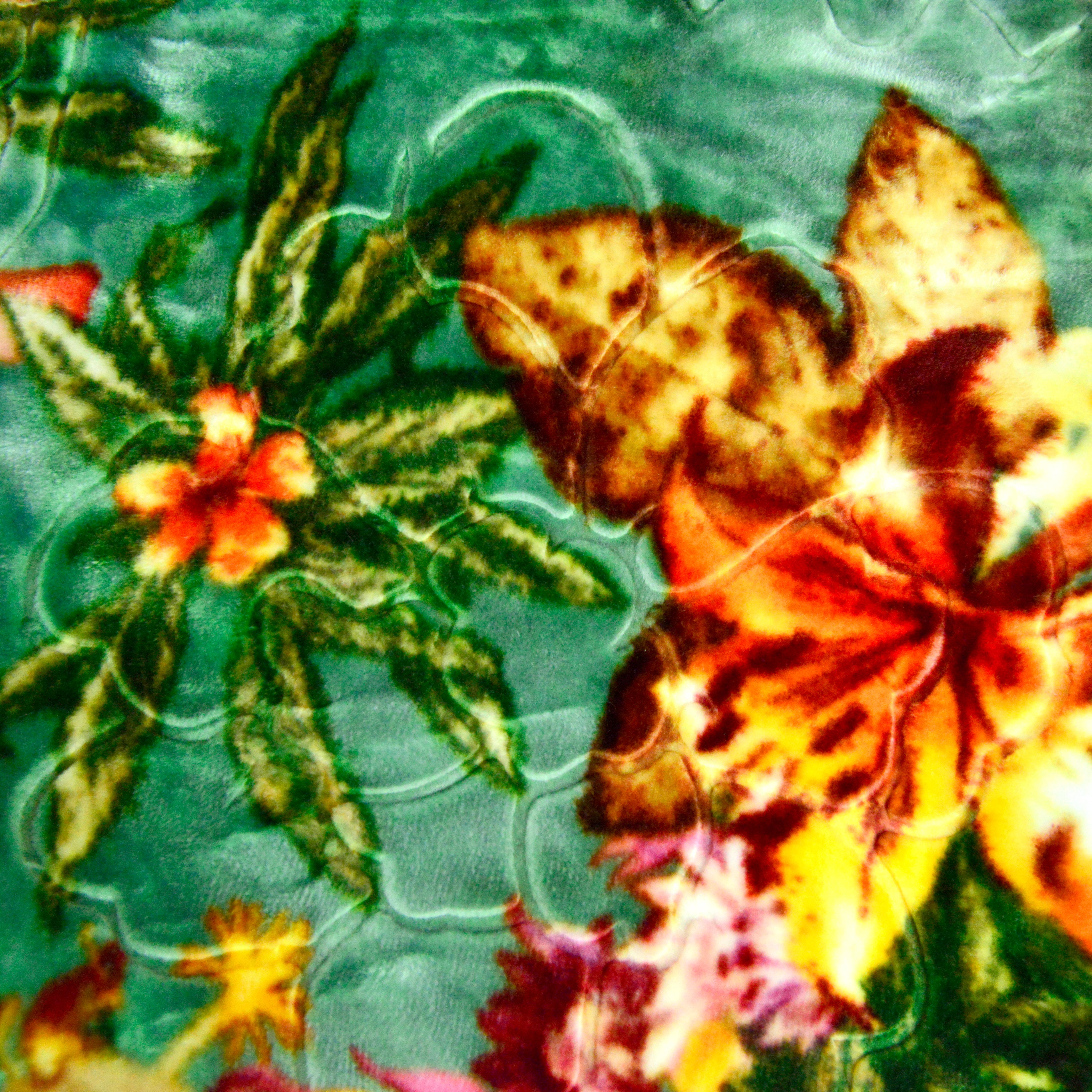 毛毯/拉舍尔毛毯/印花毛毯产品图