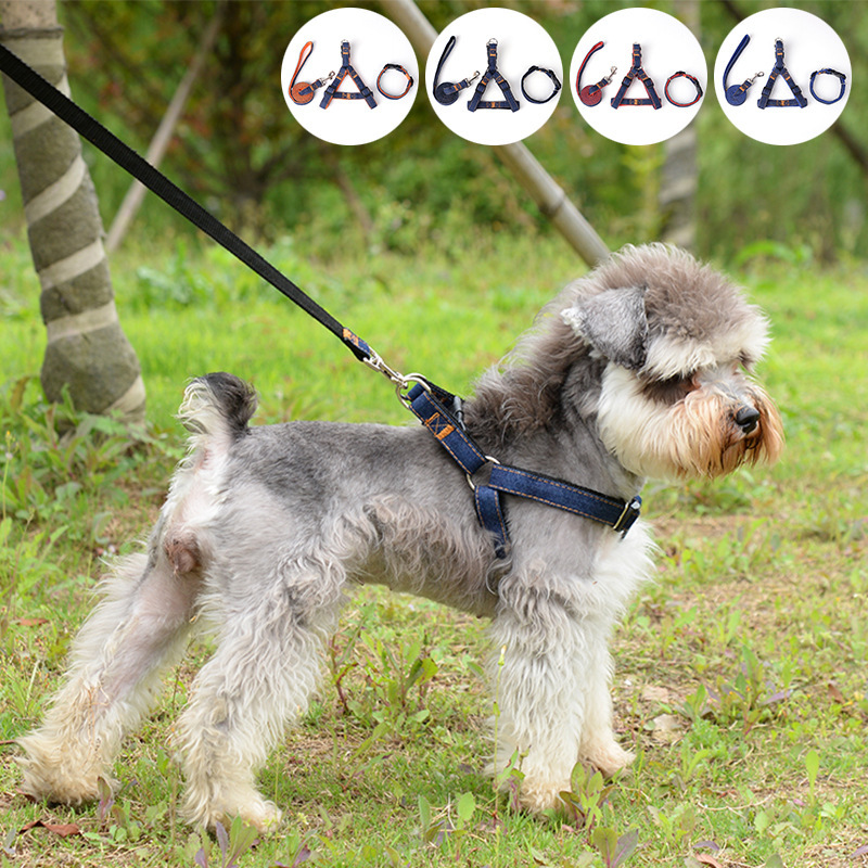 Export of pet leashes Item Picture