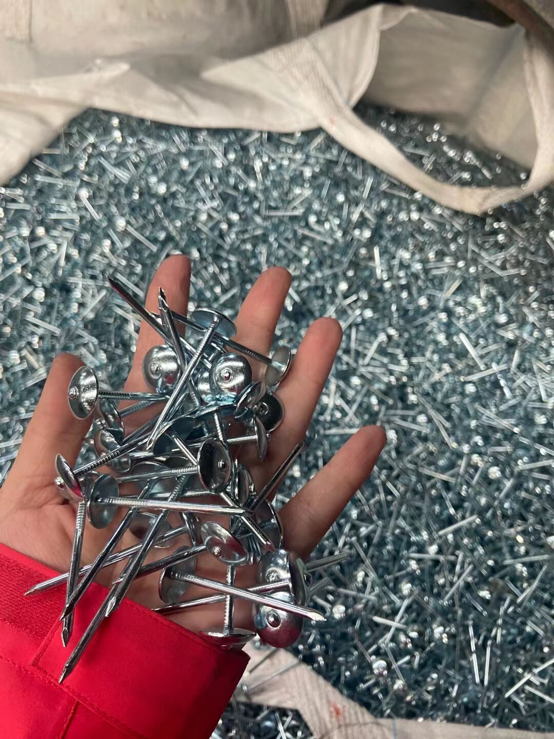 Manufacturer corrugated nails, straight rods, corrugated nails, hemp rods, corrugated nails, roof nails, Roofing nails, large cap nails, 9G, 2.5-inch nails, galvanized corrugated nails, corrugated nails with pads details Picture