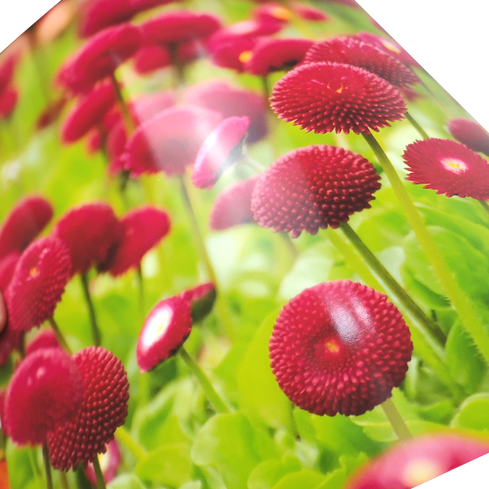 YESION 200g high-gloss photo paper, photo printing paper, A4 high-gloss photo paper, 20 sheets of inkjet photo paper, photo paper, photo paper Item Picture