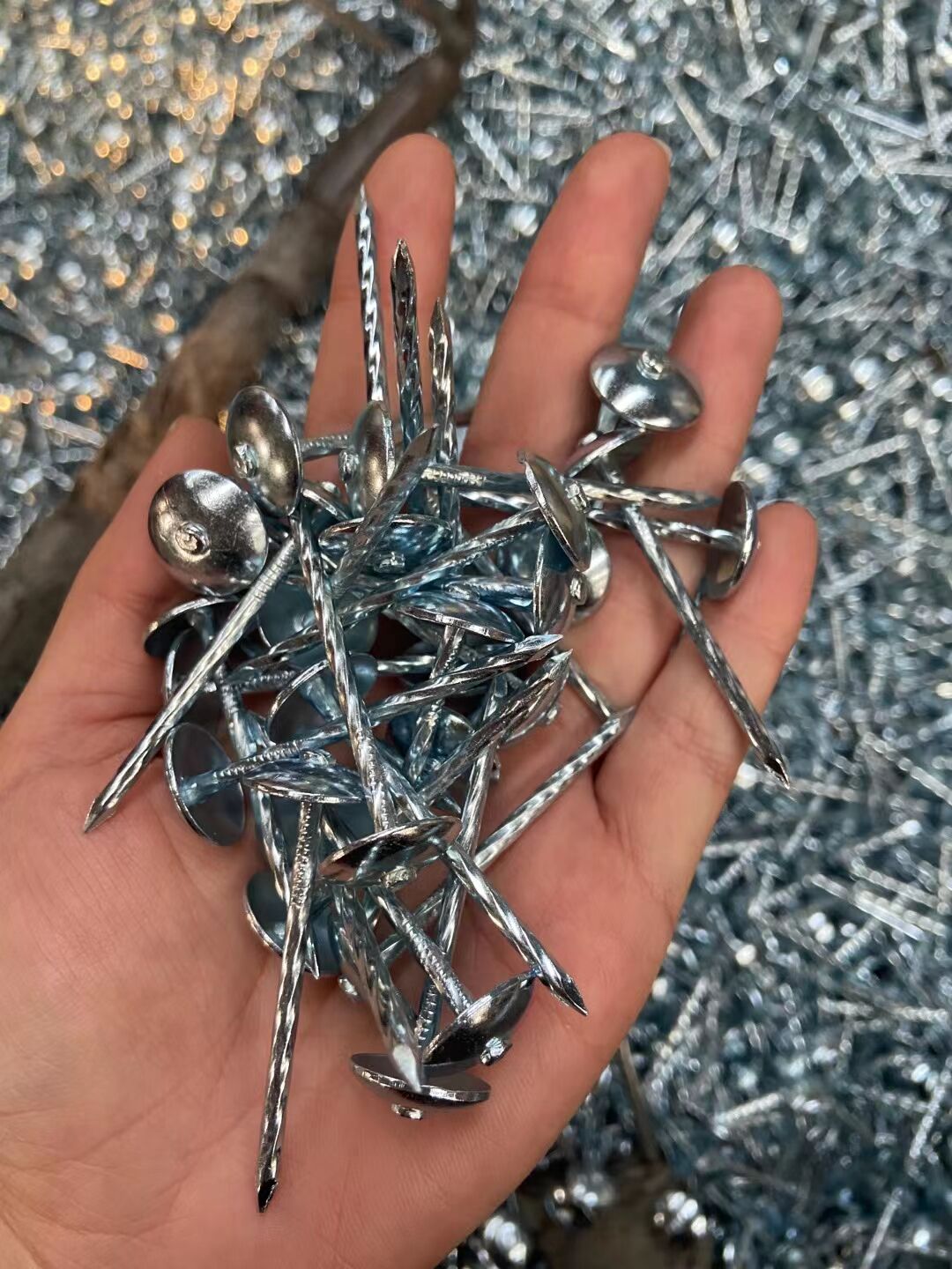 Manufacturer corrugated nails, straight rods, corrugated nails, hemp rods, corrugated nails, roof nails, Roofing nails, large cap nails, 9G, 2.5-inch nails, galvanized corrugated nails, corrugated nails with pads