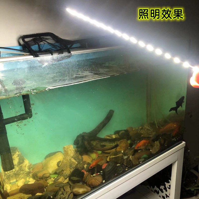 12V 照明/灯条白底实物图