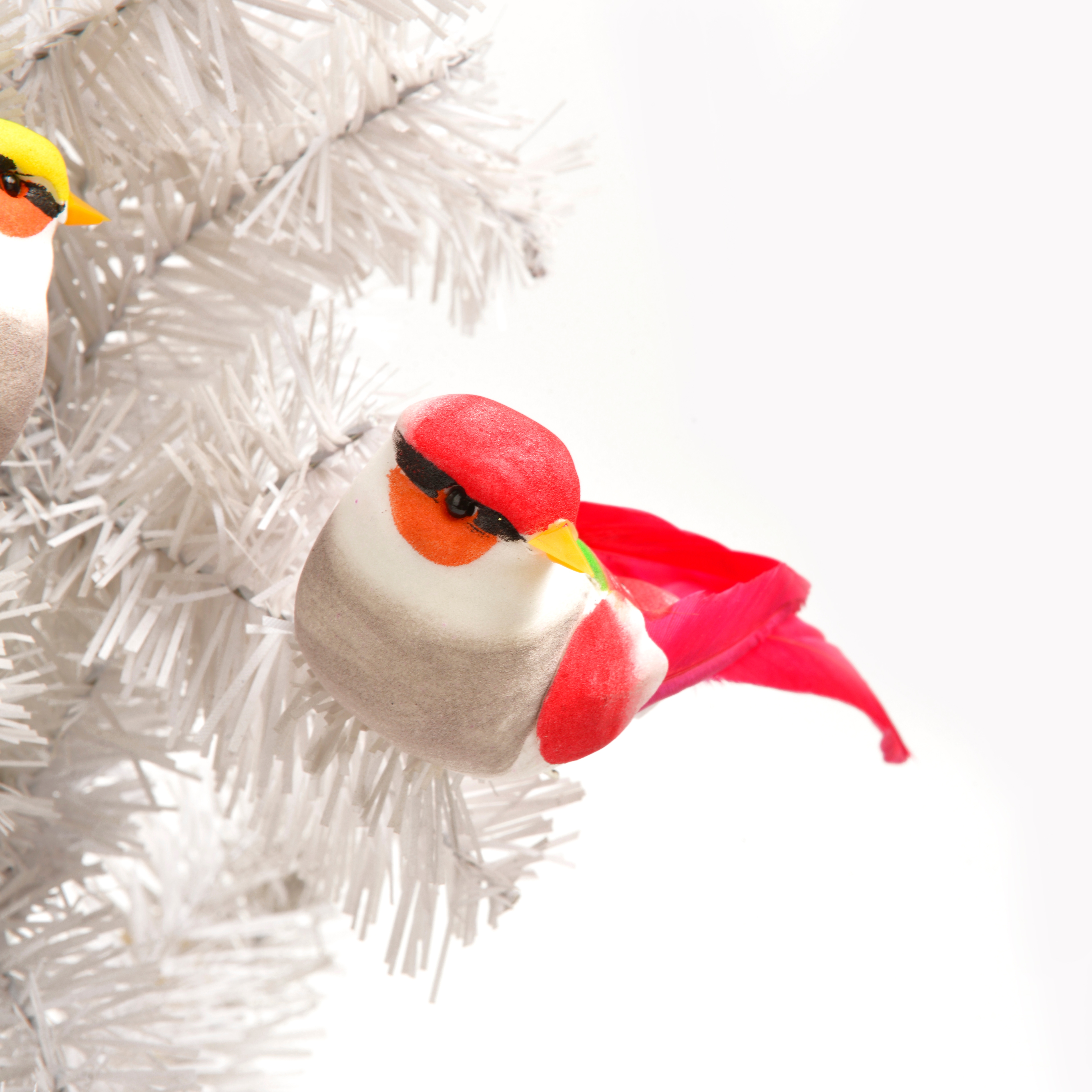 仿真动物实物图