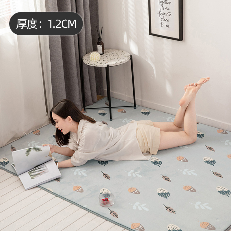 家用地毯实物图