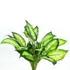 北欧风仿真的绿植琴叶榕龟背竹小盆栽假绿植摆件装饰假花仿真花摆设