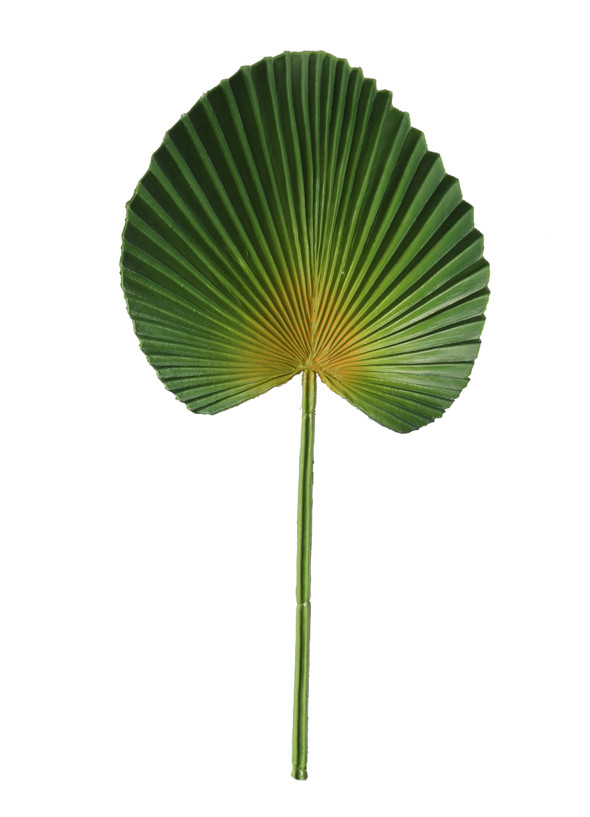 Artificial plant PU turtle-back leaf artificial flower spring rain leaf flower arrangement soft rubber plant accessory material sunflower fan leaf material design decoration HC31344 details Picture