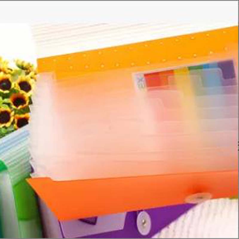 塑料按扣文件袋透明a4档案资料文具袋5