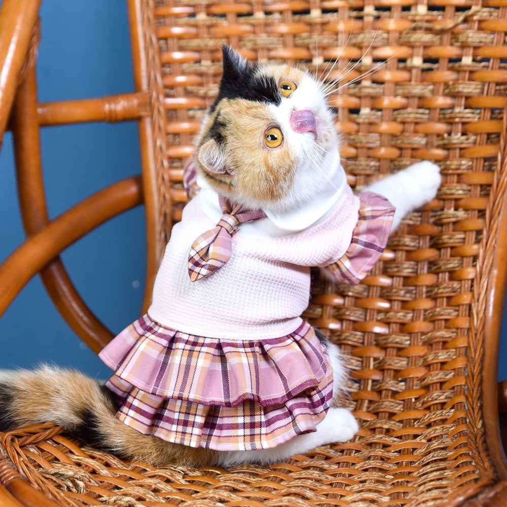 猫咪衣服/猫咪衣服产品图