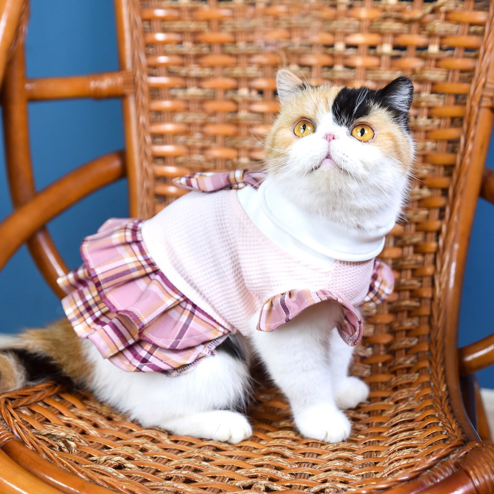 猫咪衣服/猫咪衣服细节图