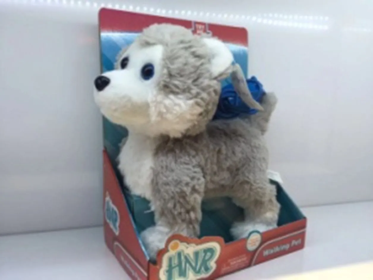 Yiwu Quality electric plush toy leash Husky HNR new style Internet celebrity bestseller Application Scenario