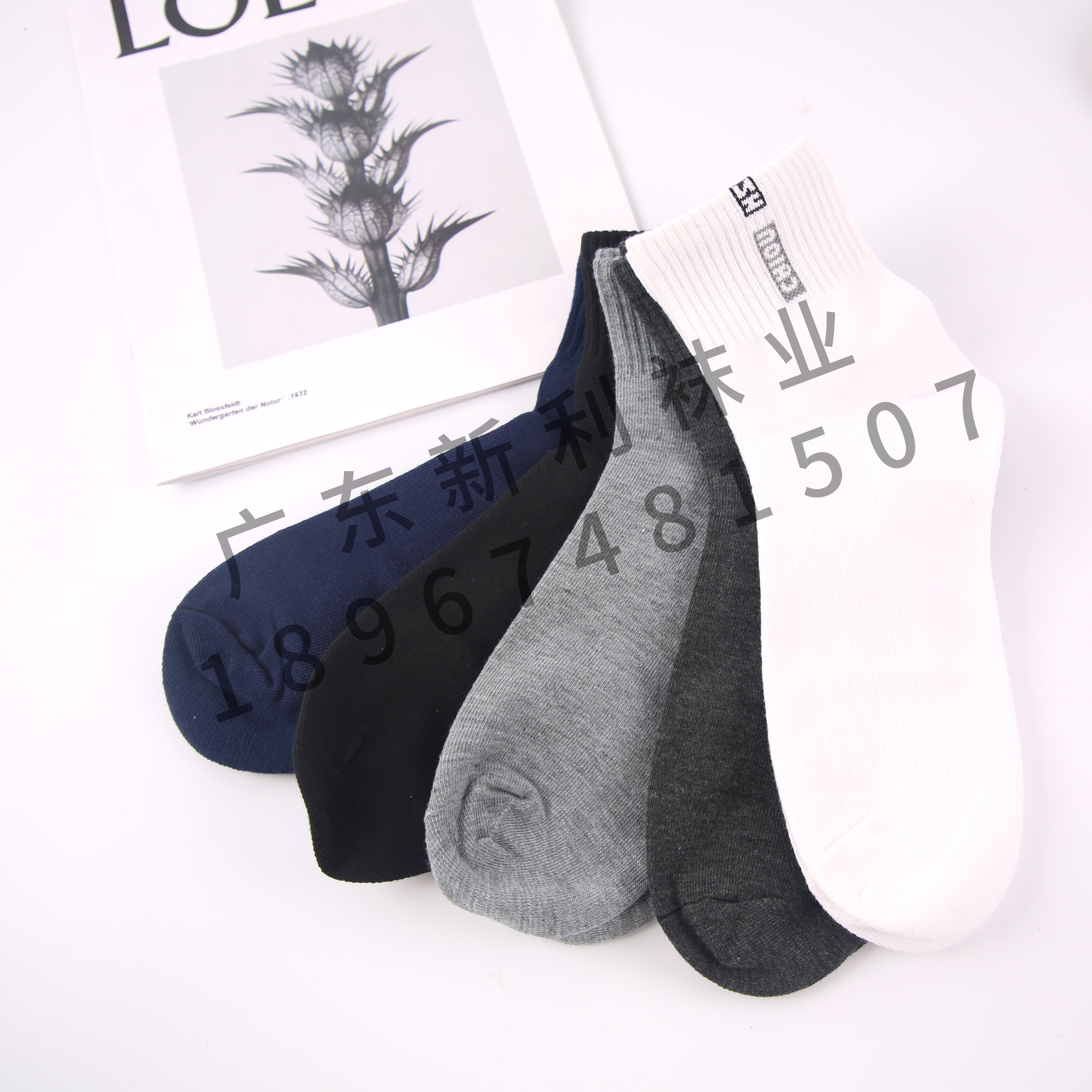 运动、休闲棉袜实物图