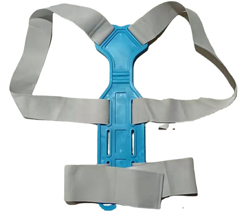 儿童成人背部细节图