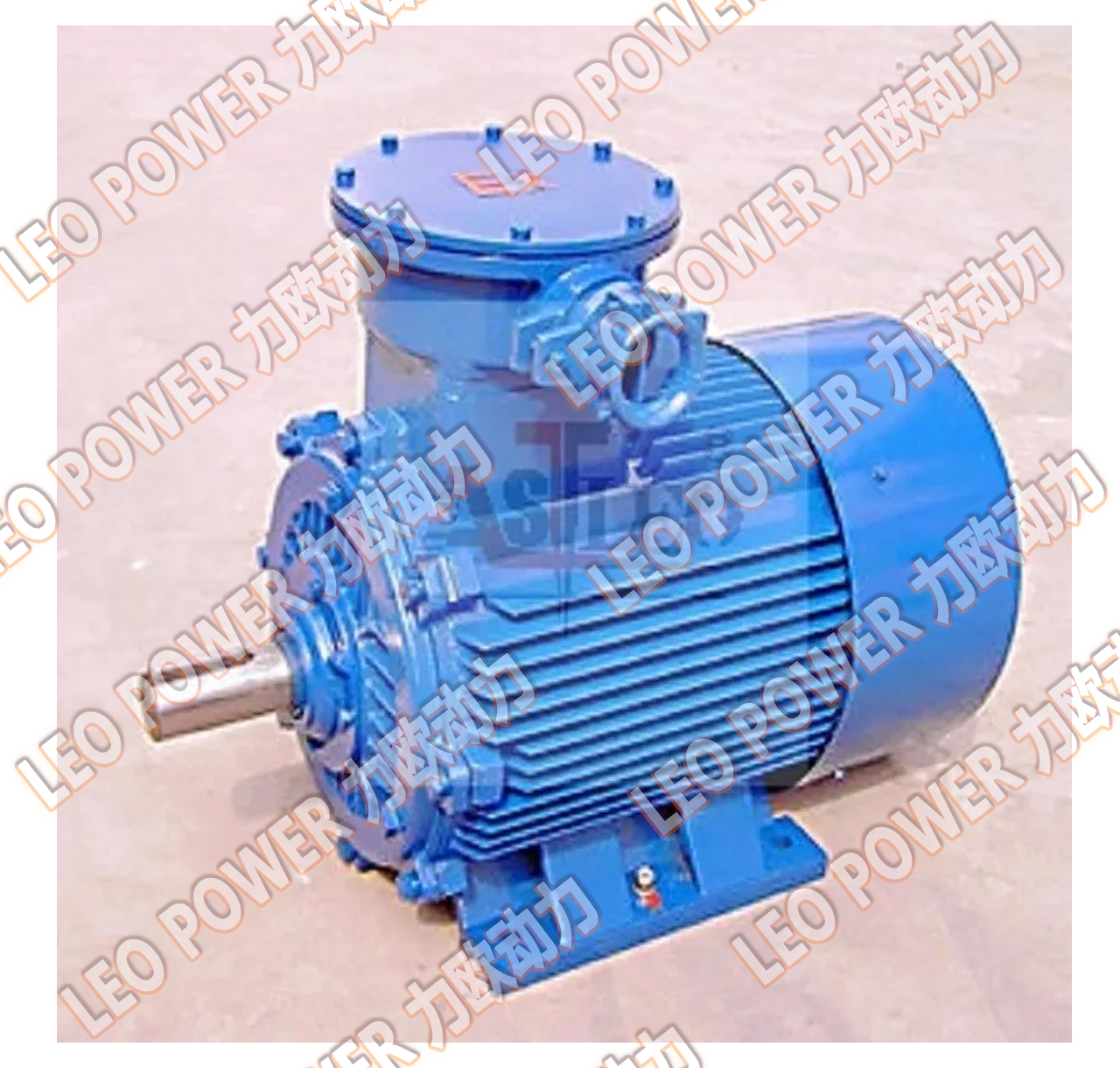 电机【浙江力欧动力有限公司】