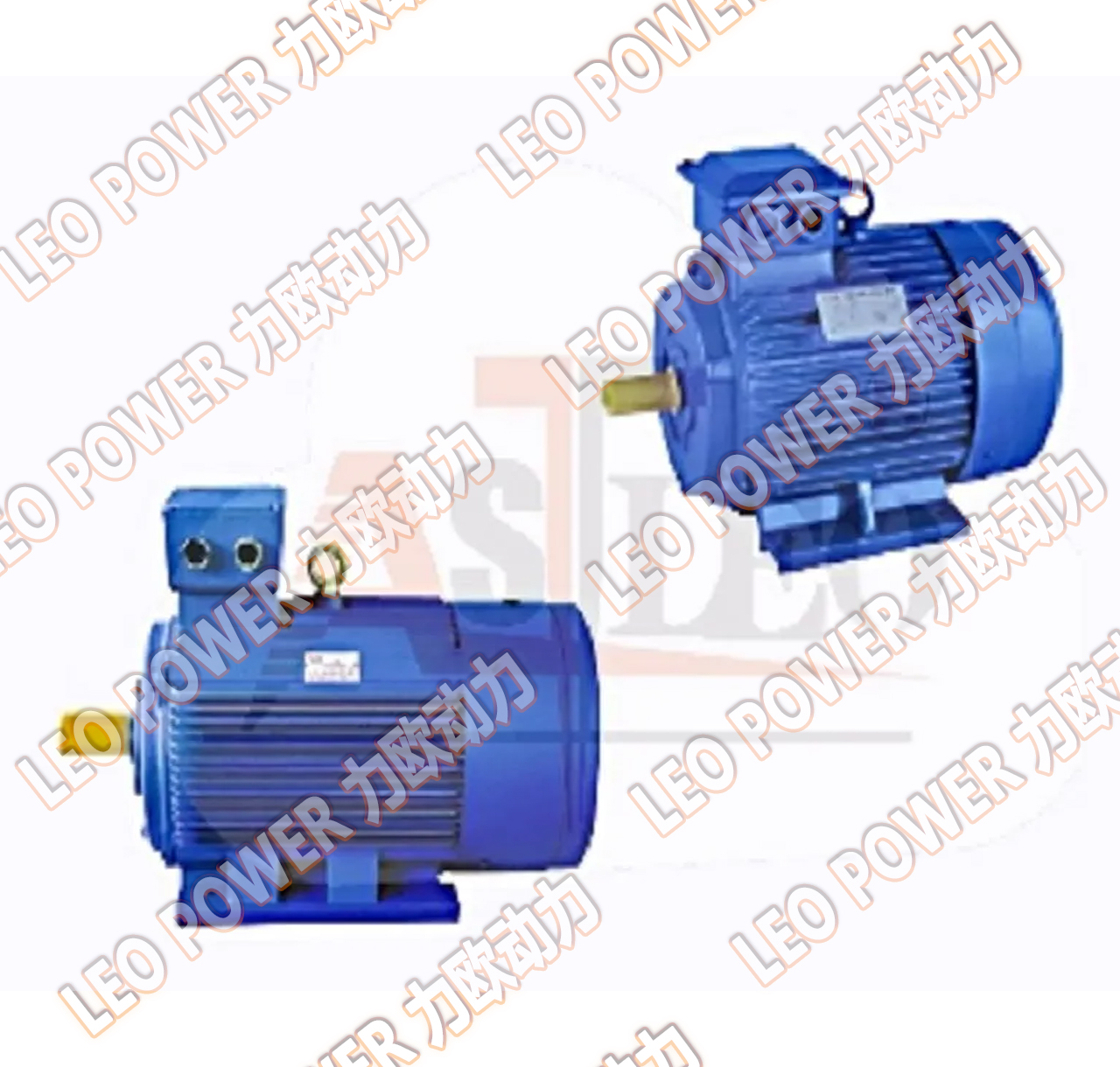 三相异步电机【浙江力欧动力有限公司】