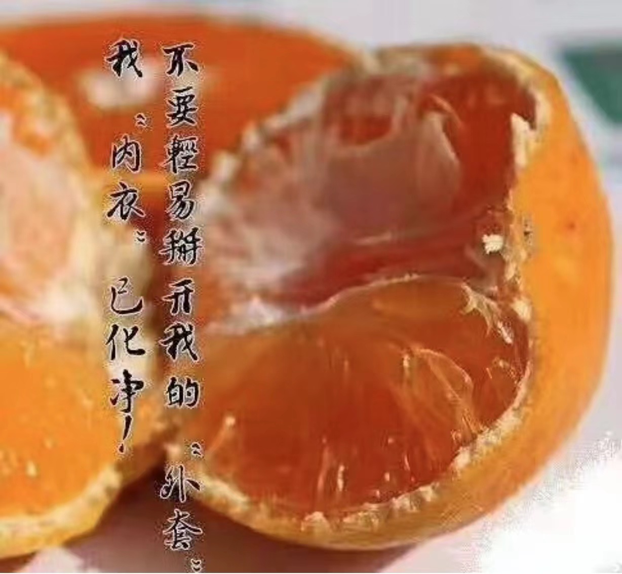 蜜桔白底实物图