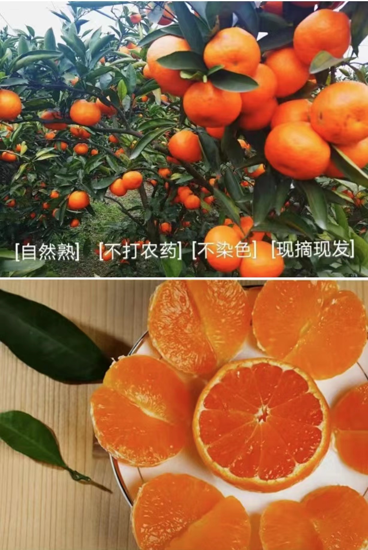 其他分类实物图